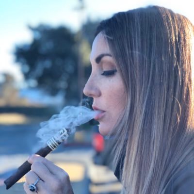 Cigar Vixen logo
